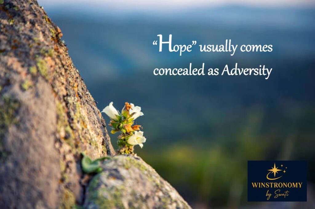 whatsapp image 2025 09 25 at 16.16.59 3f909476